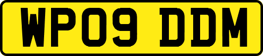WP09DDM