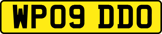 WP09DDO