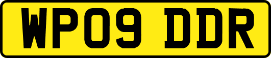 WP09DDR