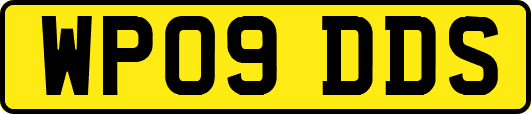 WP09DDS