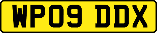 WP09DDX