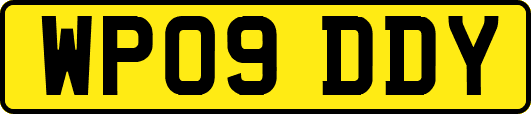 WP09DDY