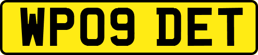 WP09DET