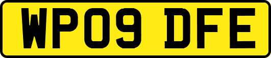 WP09DFE