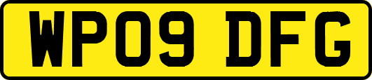 WP09DFG