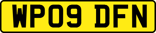 WP09DFN