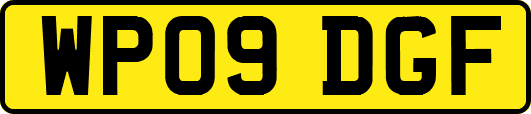 WP09DGF