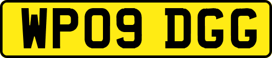 WP09DGG