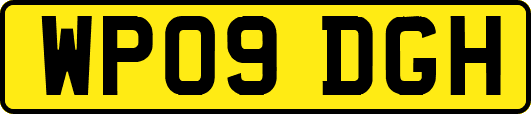 WP09DGH
