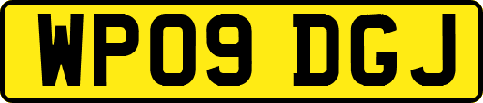 WP09DGJ