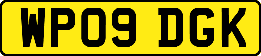 WP09DGK