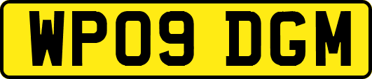 WP09DGM