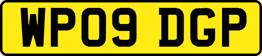 WP09DGP