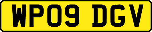 WP09DGV