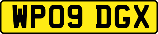 WP09DGX