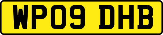 WP09DHB