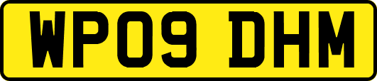 WP09DHM