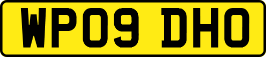 WP09DHO