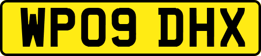 WP09DHX