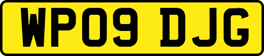 WP09DJG