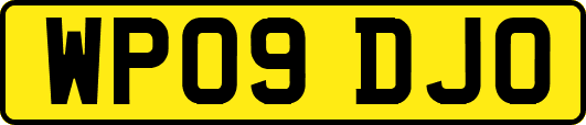 WP09DJO