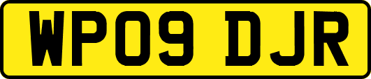 WP09DJR
