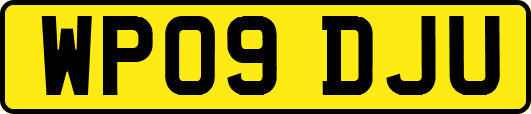 WP09DJU