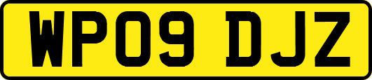 WP09DJZ