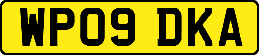 WP09DKA
