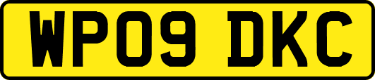 WP09DKC