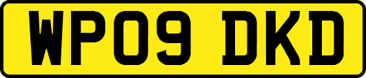 WP09DKD