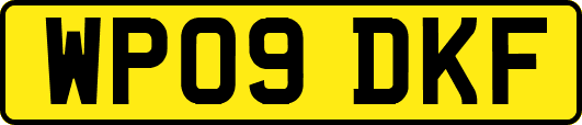 WP09DKF