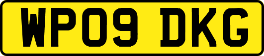 WP09DKG