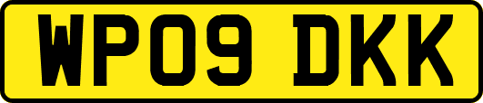 WP09DKK