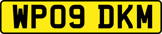 WP09DKM