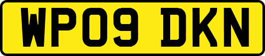 WP09DKN