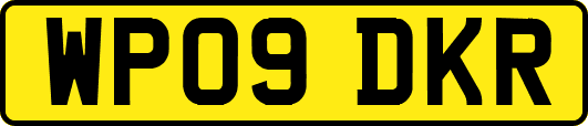 WP09DKR