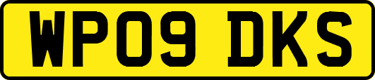 WP09DKS