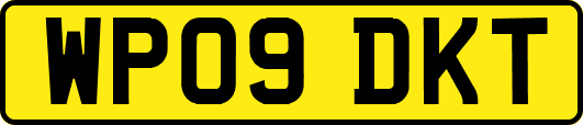 WP09DKT