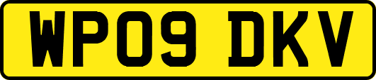 WP09DKV