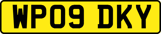 WP09DKY