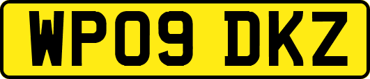 WP09DKZ