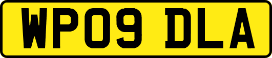 WP09DLA