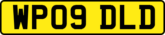WP09DLD