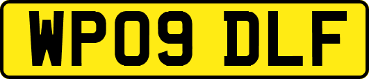 WP09DLF