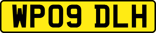 WP09DLH