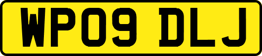 WP09DLJ