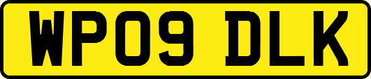 WP09DLK