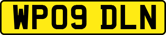 WP09DLN
