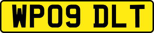WP09DLT